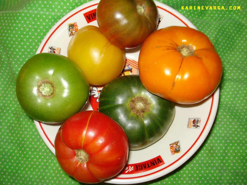 Tomatoes from the Bidwell Market