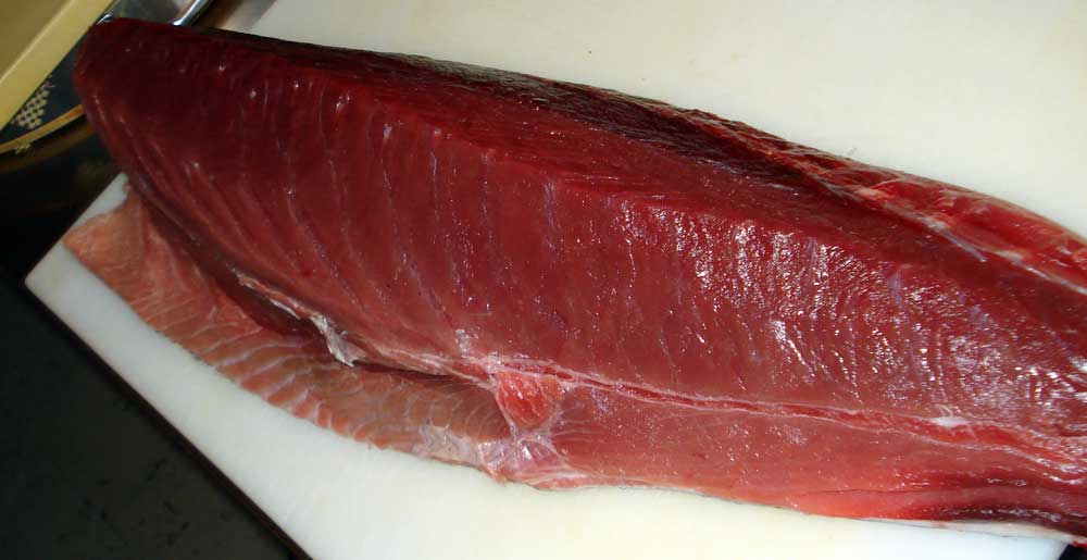 bigeye tuna