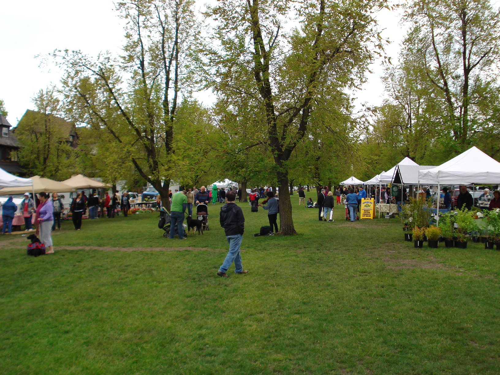Bidwell Market