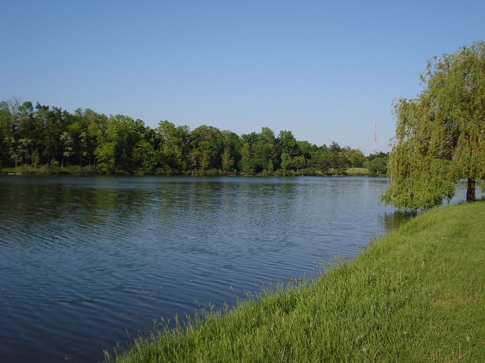 Delaware Park