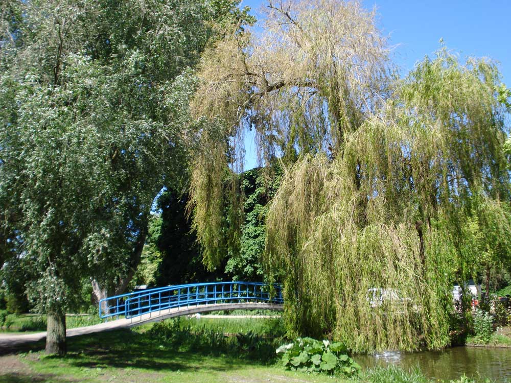 Vondel Park